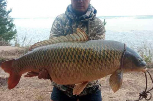 Сазана весом 22 килограмма в Обском море поймали обычной удочкой