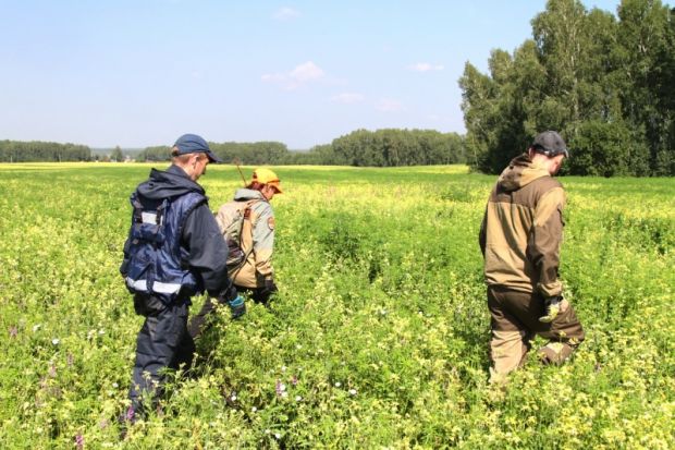 Три человека пропали в лесах НСО за минувшую неделю