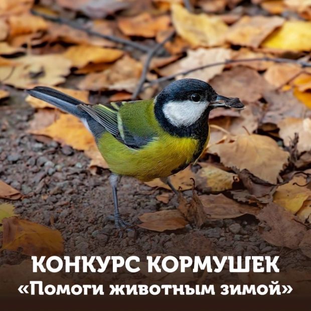 Зоопарк приглашает на конкурс кормушек «Помоги животным зимой»