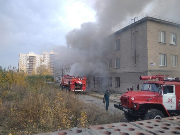 Девять раз за неделю неизвестные поджигали траву в Советском районе