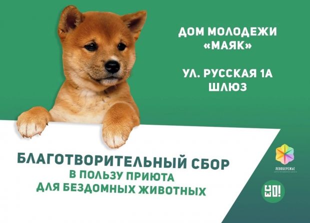В Советском районе объявлен благотворительный сбор для трех приютов