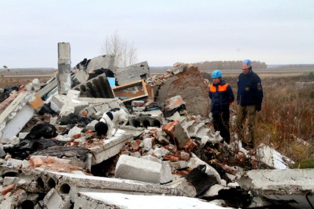 В Новосибирской области кинологи Сибири и Казахстана искали потерпевших