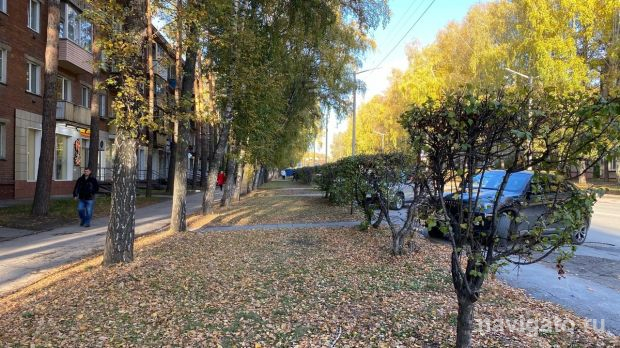 Велодорожки в Академгородке: мнения и противоречия