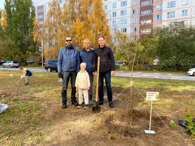 20 молодых лип высадили вдоль улицы Демакова