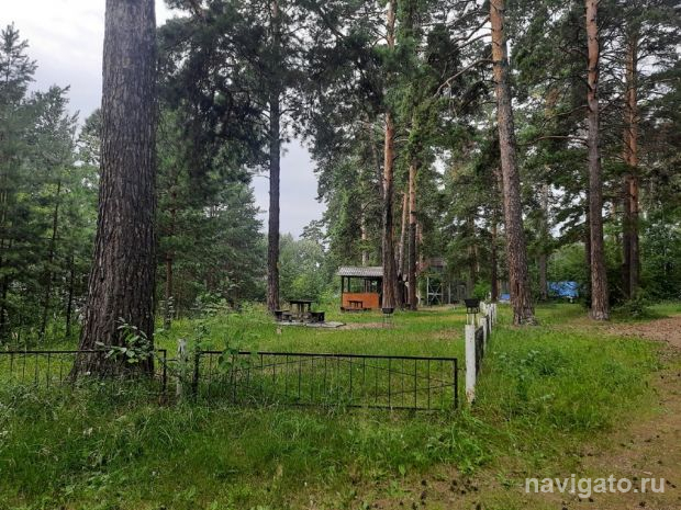 Жительница ОбьГЭС обратилась за помощью к медикам после нападения собак