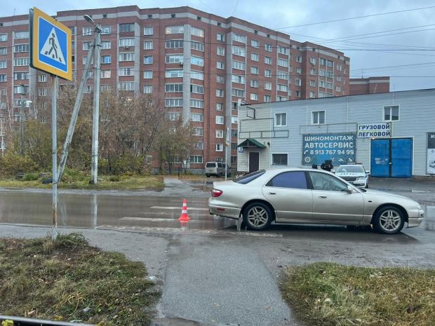 Женщину с девочкой сбили на пешеходном переходе в Бердске