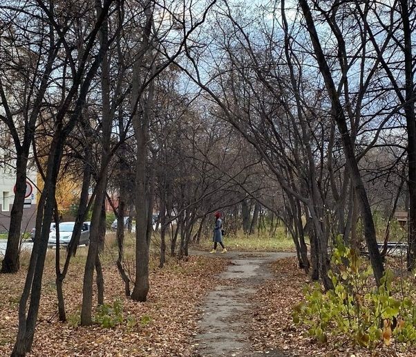 Какая погода будет в городе на этой неделе