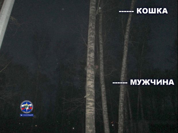 Двойное спасение в парке Новосибирска