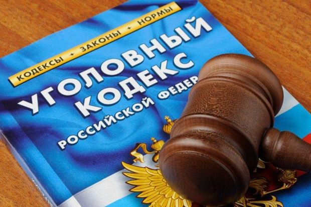 Новосибирец получил реальный срок за убийство домашней кошки