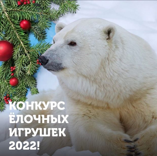 Новосибирский зоопарк объявил о старте новогоднего конкурса