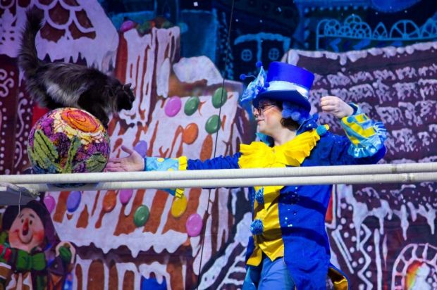 Замечательный подарок детям на Новый год – шоу кошек!