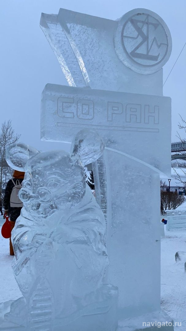 Что происходит в ледовом городке на Михайловской набережной