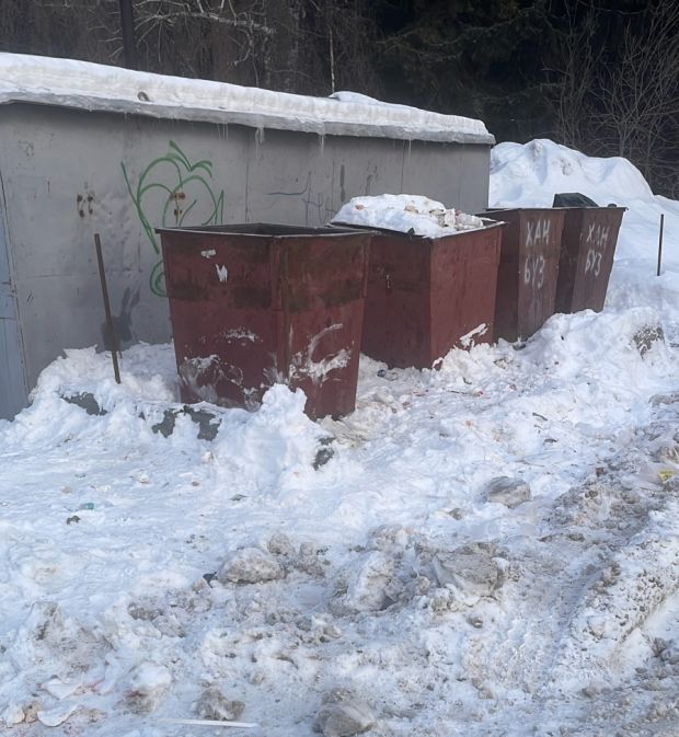 Сибирячка пожаловалась на состояние остановки в Советском районе (изменено)