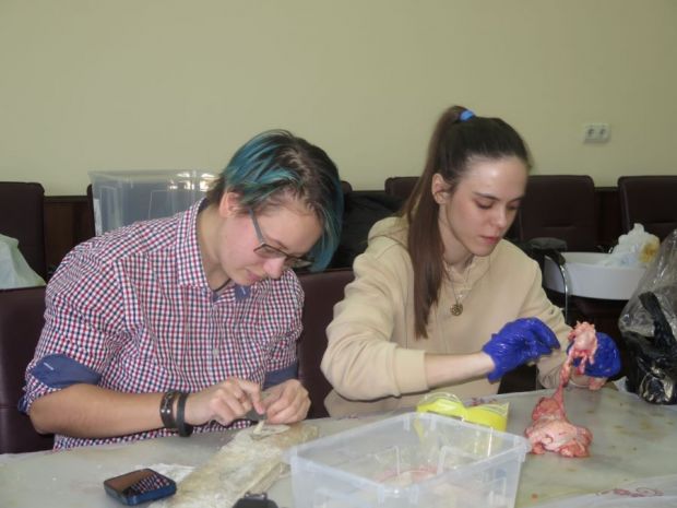 Археологи провели научные эксперименты по обработке камня