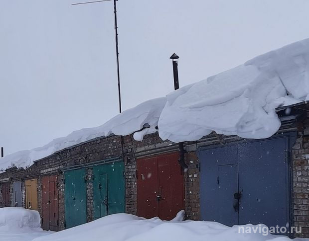 Собака упала в смотровую яму в гараже в поселке Плановом
