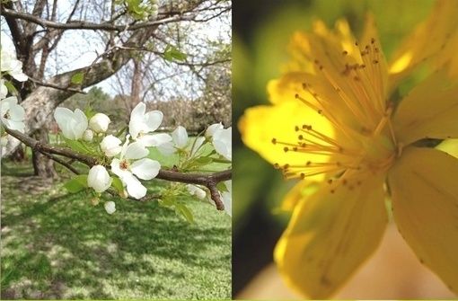 «Я родилась – три вздоха до весны...»