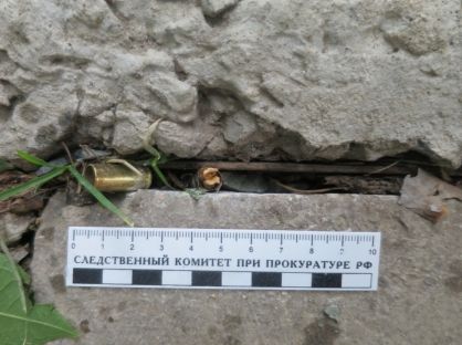 Возбуждено уголовное дело по факту стрельбы в парке «Звезда»
