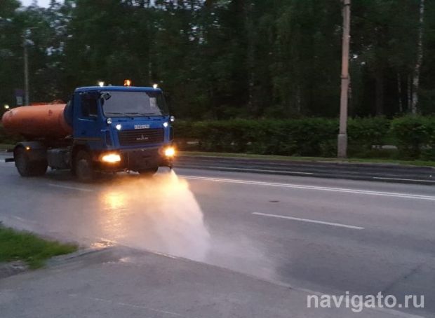 Специальным шампунем помоют Новосибирск