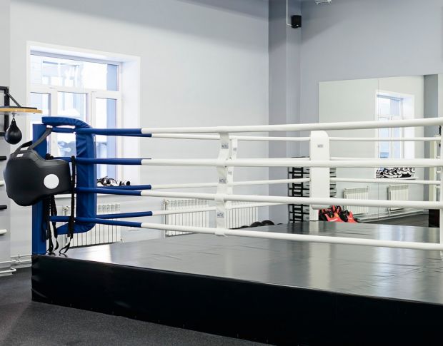 Серия неудач или закат карьеры – перспективы Петра Яна в UFC