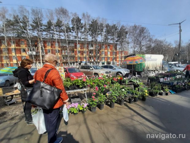 В Советском районе пройдет ярмарка «Для вас, садоводы»
