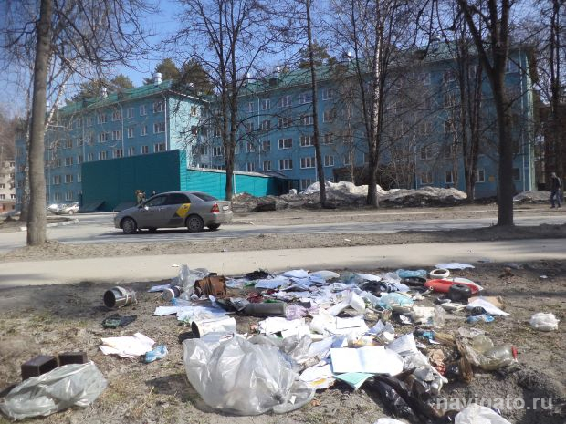 Почти 10 тысяч кубометров мусора собирают возле дорог ежедневно