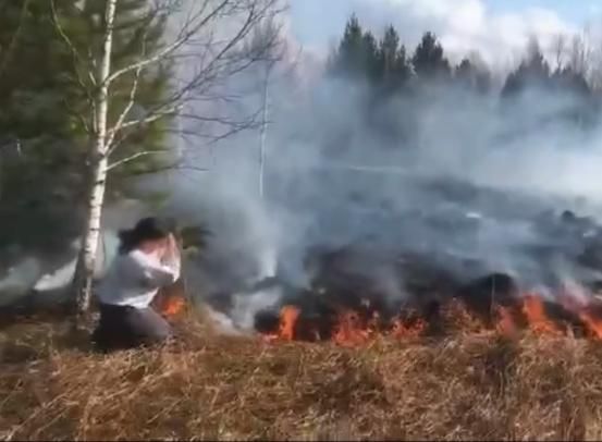 Жительница Академгородка спасла лес от пожара