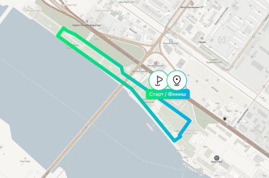 Пробежать марафон и восстановить лес могут новосибирцы