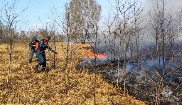 За неделю в регионе зарегистрировано свыше 1100 возгораний