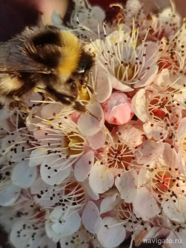 Выставочный центр СО РАН приглашает на «Познавательный пикник»