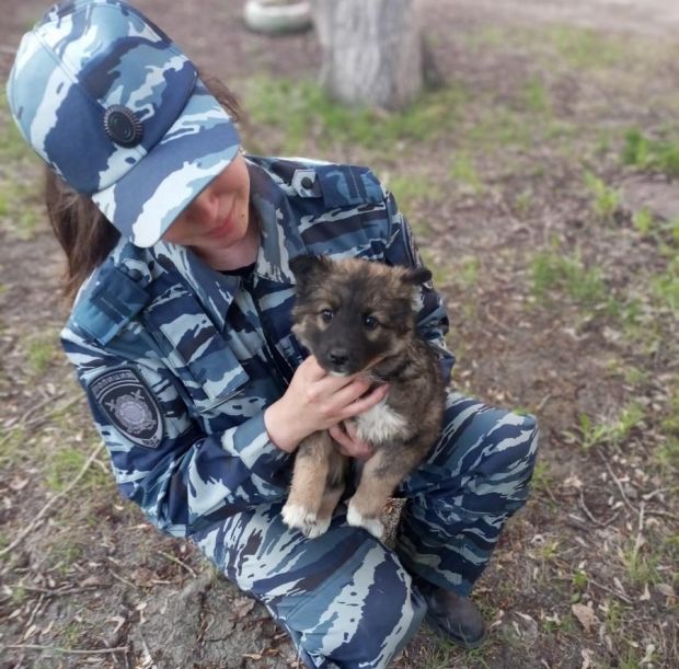 Полицейские ищут хозяина для щенка