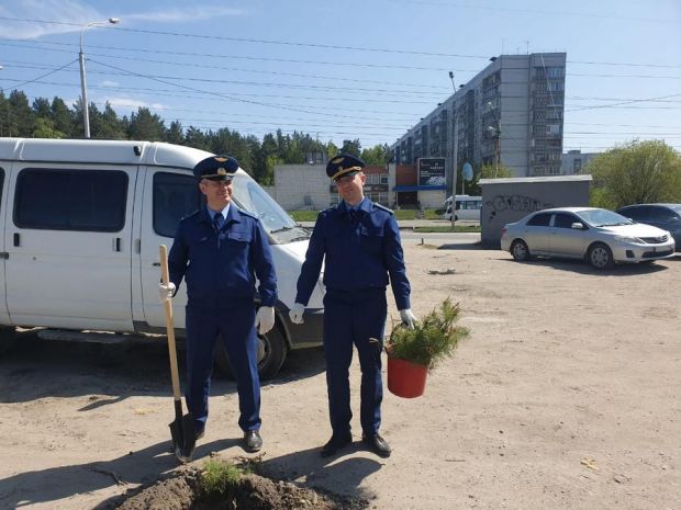 Глава Советского района поручил огородить площадку с новыми саженцами