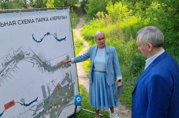 На территории будущего парка «Чербузы» прошло совещание с губернатором НСО