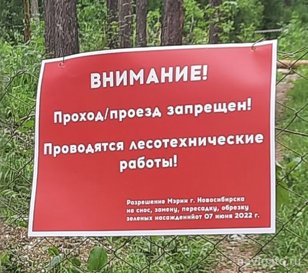 Апелляционную жалобу защитников леса суд оставил без удовлетворения