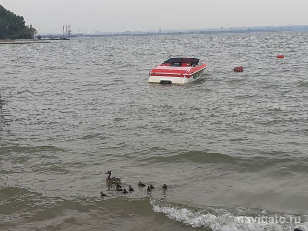 В Новосибирске планируют создать межрегиональную программу по очистке Оби
