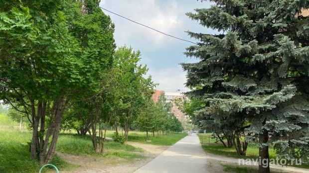 Теплая погода и небольшой дождь ожидают новосибирцев