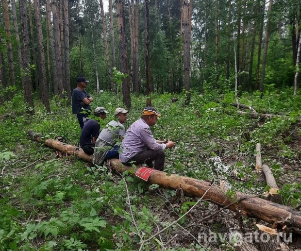 Содержание лесов в Советском районе обсудили в администрации