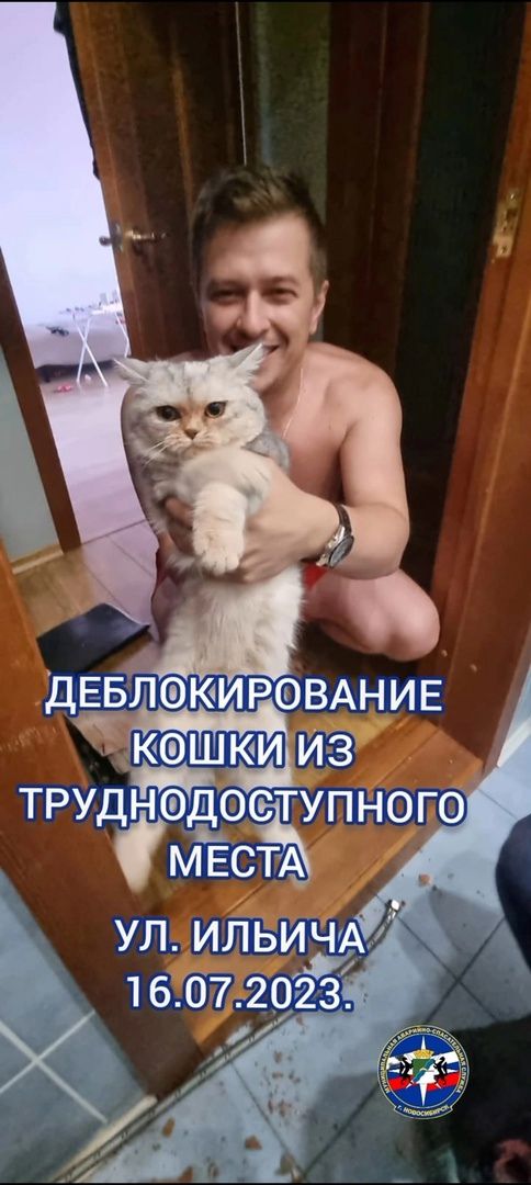 В доме на улице Ильича разобрали стену для спасения кошки