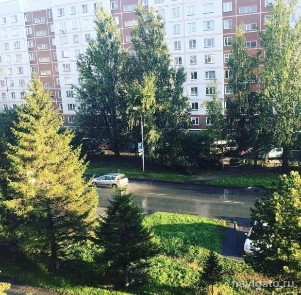 В Новосибирск возвращаются дожди и грозы