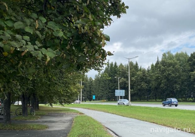 До конца недели в Новосибирске сохранится пасмурная погода