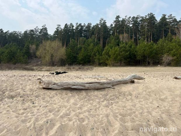 В аванпорте шлюза в воде обнаружили погибшего мужчину