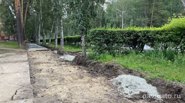 Рабочая группа по зеленым насаждениям создана в Советском районе