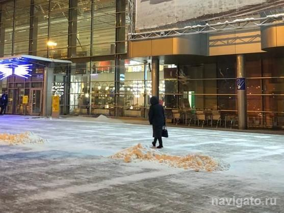 На выходных в Новосибирской области установится плюсовая температура