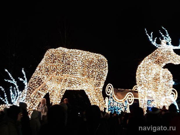 Новогодние огни зажгут в Новосибирске 1 декабря