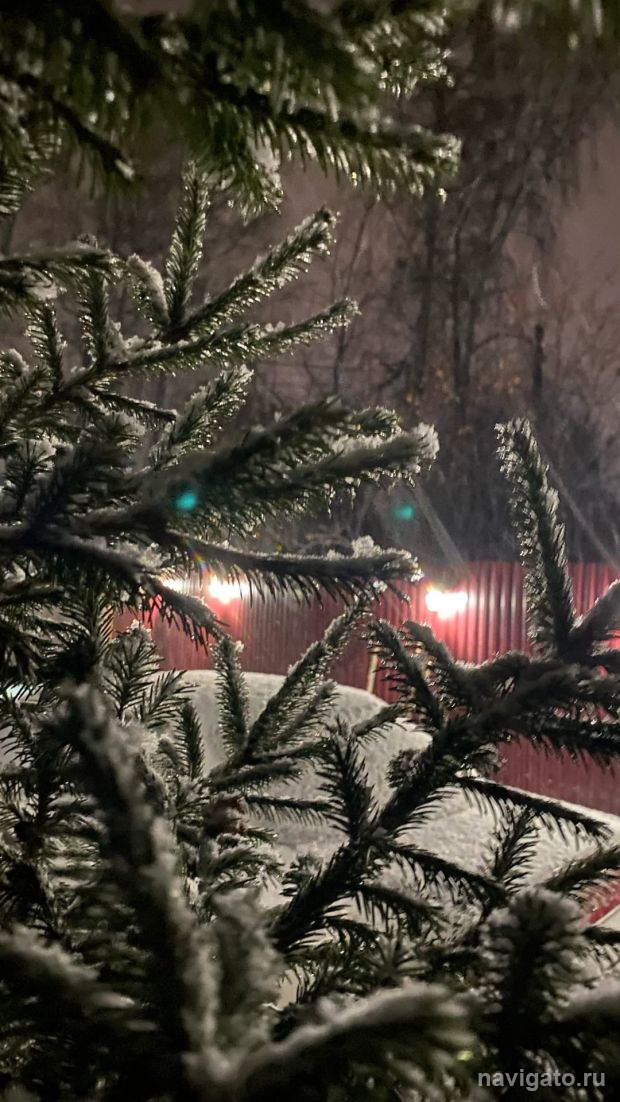 Мокрый снег пообещали синоптики новосибирцам на выходные