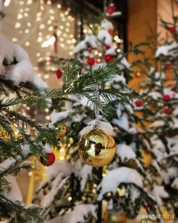 Новогодней программы в Театральном сквере не будет