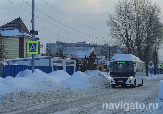 В дни зимних каникул школьники смогут бесплатно ездить на автобусах