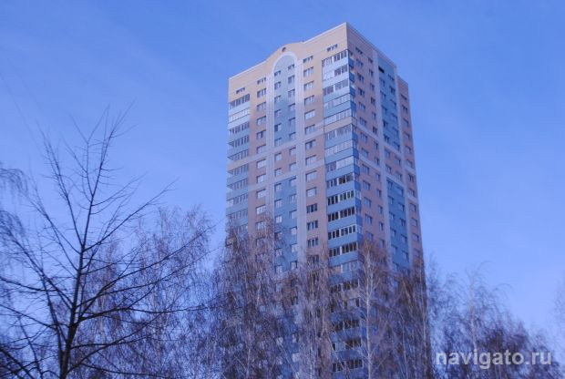 Жителей Новосибирска предупредили о сильном ветре и метели 30 декабря