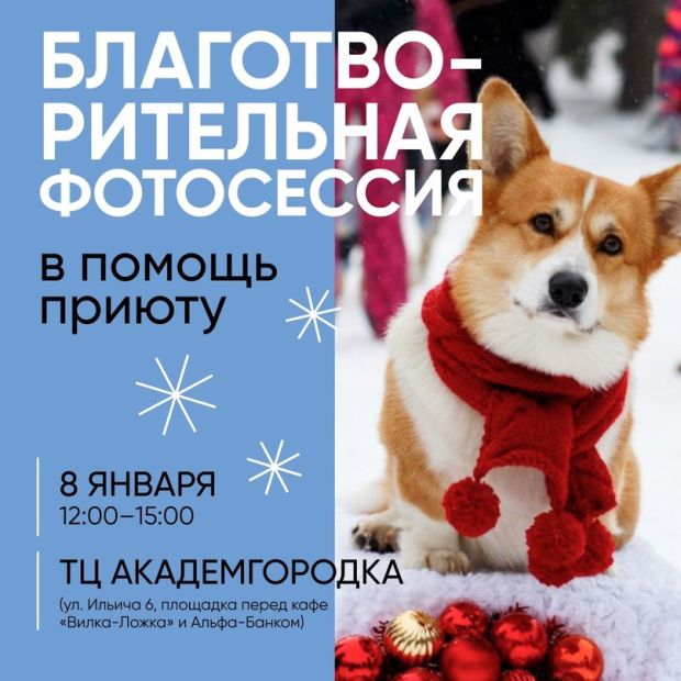 В Академгородке 8 января пройдет благотворительная фотосессия с собаками