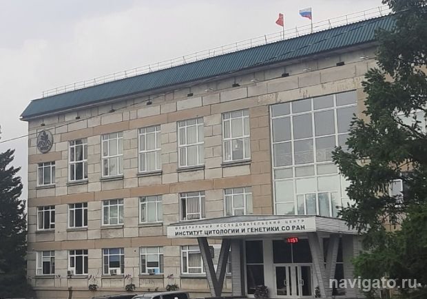 Как связан с генетикой риск развития ожирения