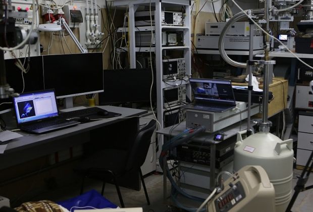 В НГУ исследовали влияние электромагнитного излучения на кроликов